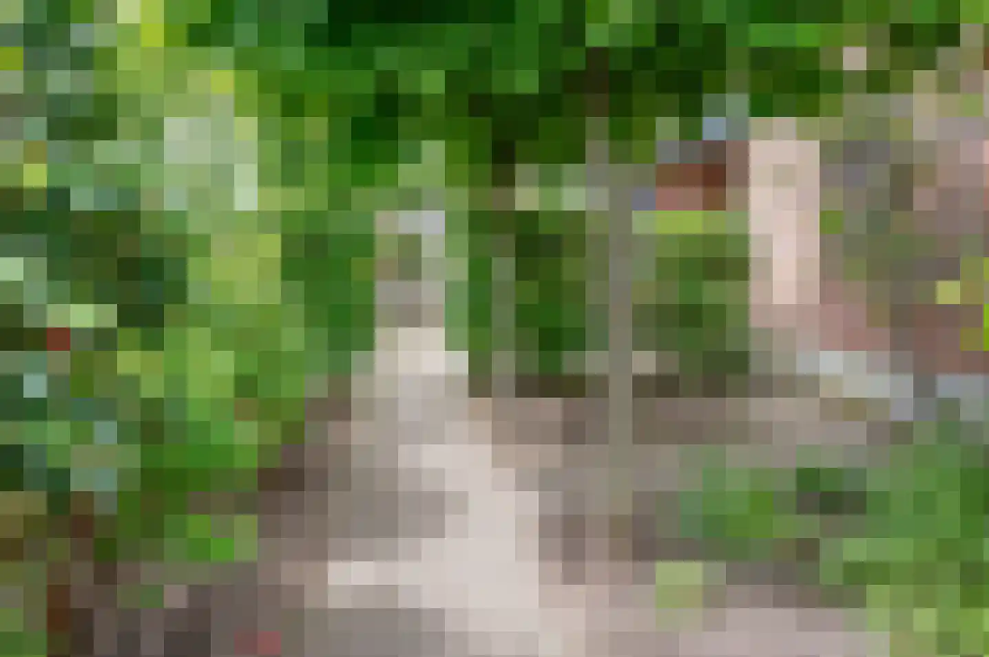 Zutphenseweg 80 Vorden thumbnail 45