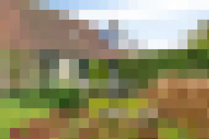 Zutphenseweg 96 a Vorden thumbnail 25