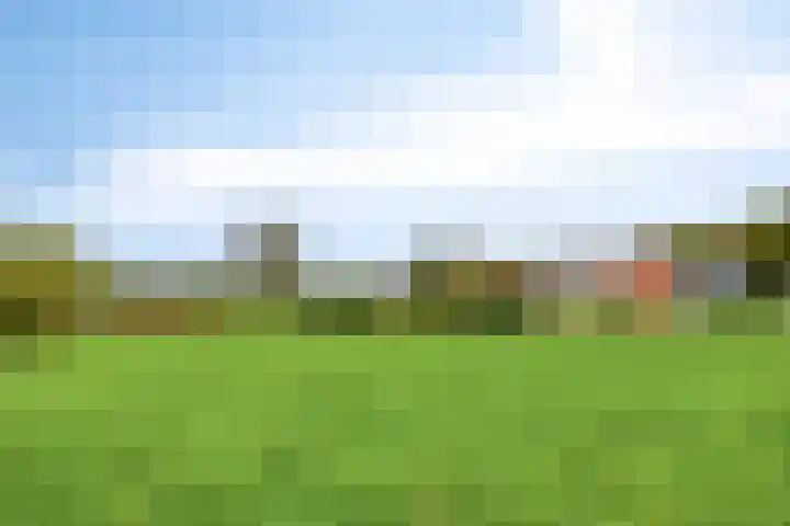 Zutphenseweg 96 a Vorden thumbnail 28