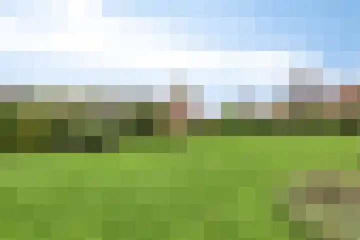 Zutphenseweg 96 a Vorden thumbnail 29
