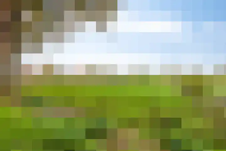 Zutphenseweg 96 a Vorden thumbnail 30