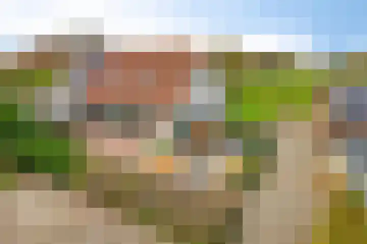 Zutphenseweg 96 a Vorden thumbnail 31