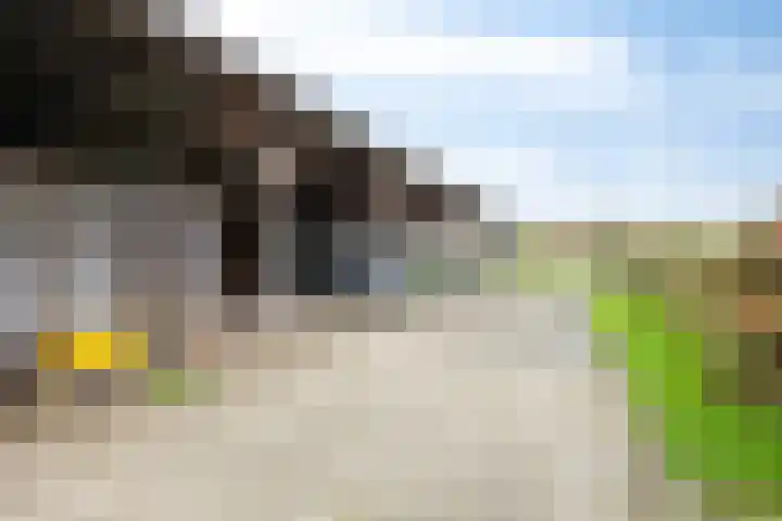 Zutphenseweg 96 a Vorden thumbnail 32