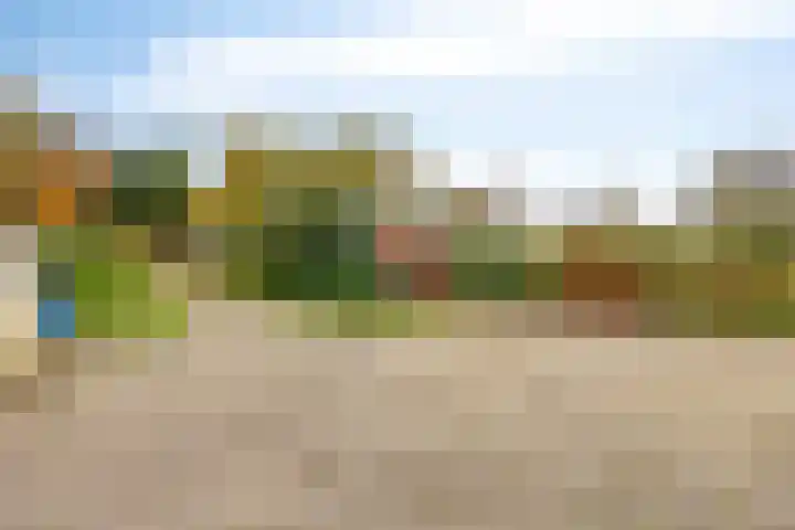 Zutphenseweg 96 a Vorden thumbnail 34
