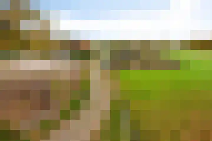 Zutphenseweg 96 a Vorden thumbnail 35