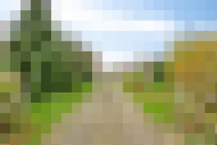 Zutphenseweg 96 a Vorden thumbnail 36