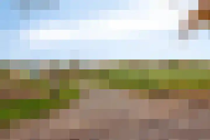 Zutphenseweg 96 a Vorden thumbnail 37
