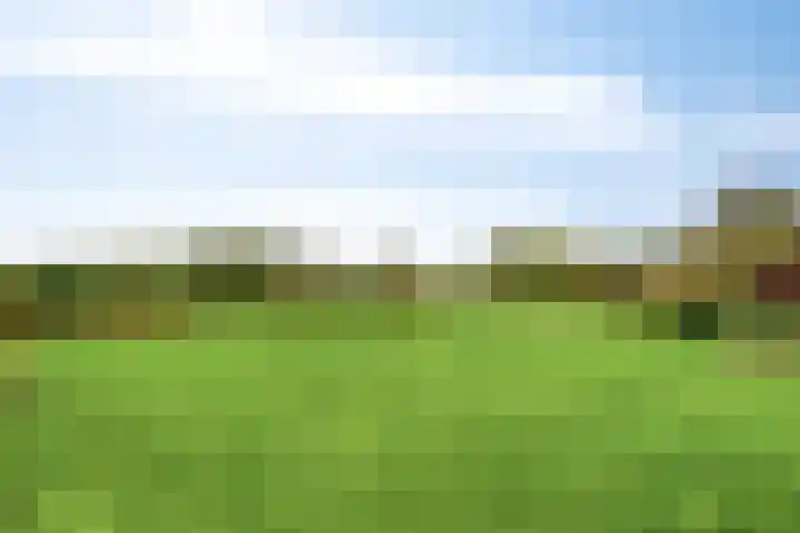 Zutphenseweg 96 a Vorden thumbnail 4