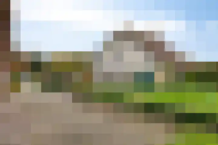 Zutphenseweg 96 a Vorden thumbnail 5