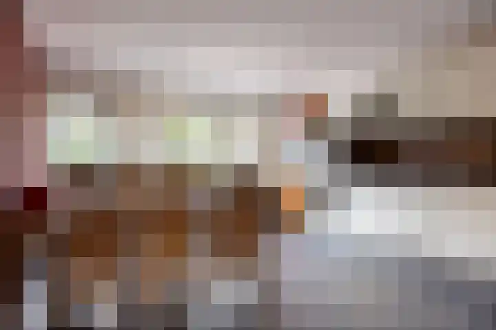 Zutphenseweg 96 a Vorden thumbnail 7