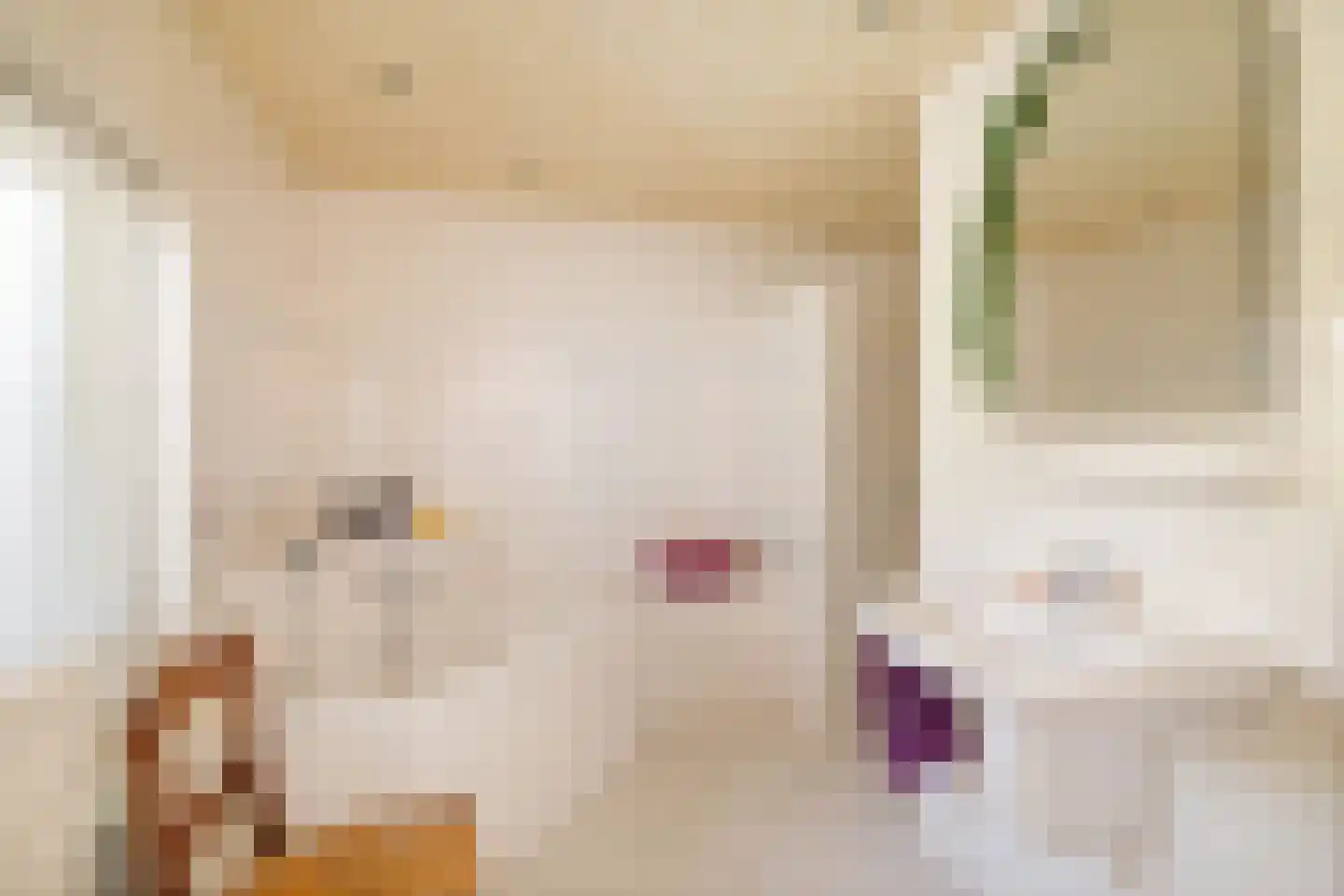Zuukerend 5 Epe thumbnail 18