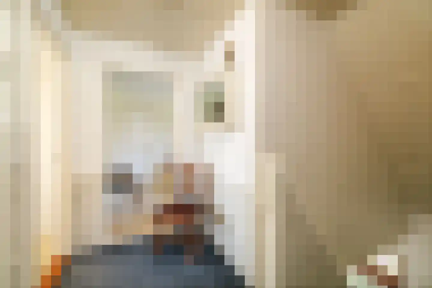 Zuukerend 5 Epe thumbnail 21