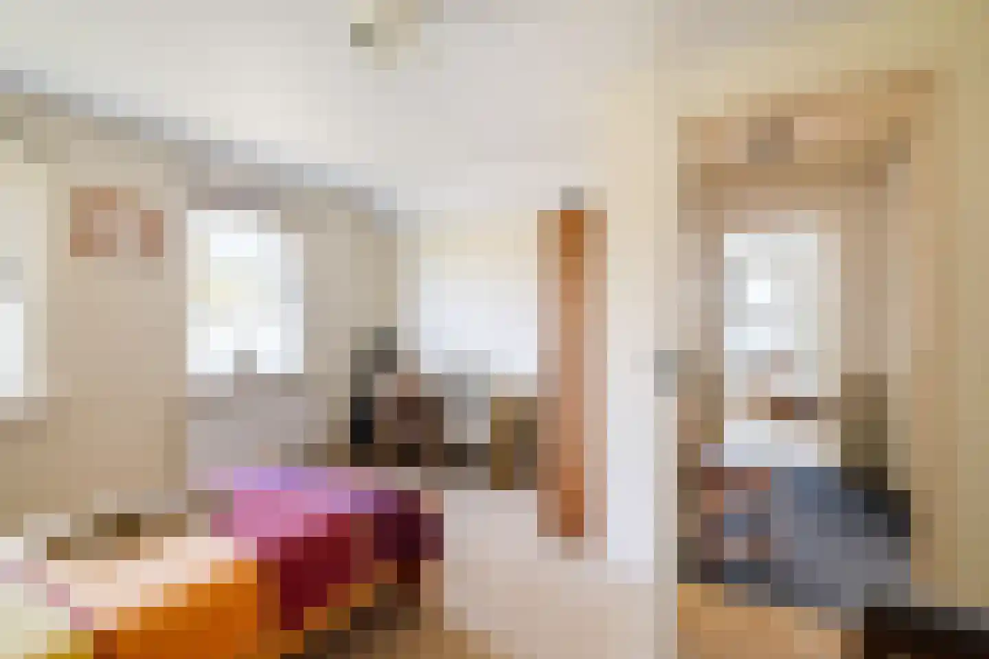 Zuukerend 5 Epe thumbnail 25