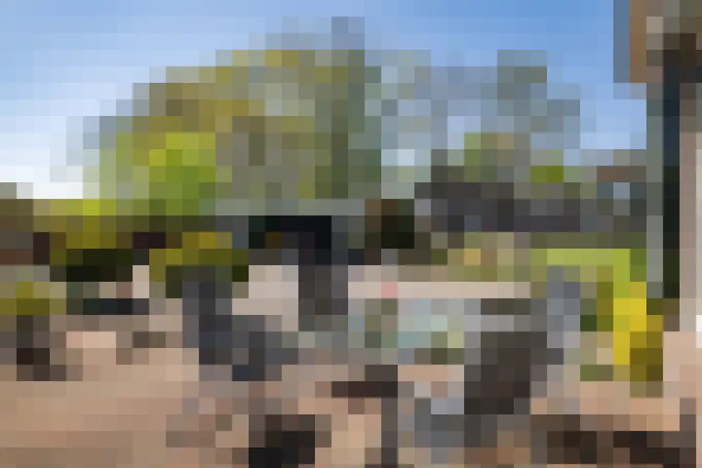 Zuukerend 5 Epe thumbnail 31
