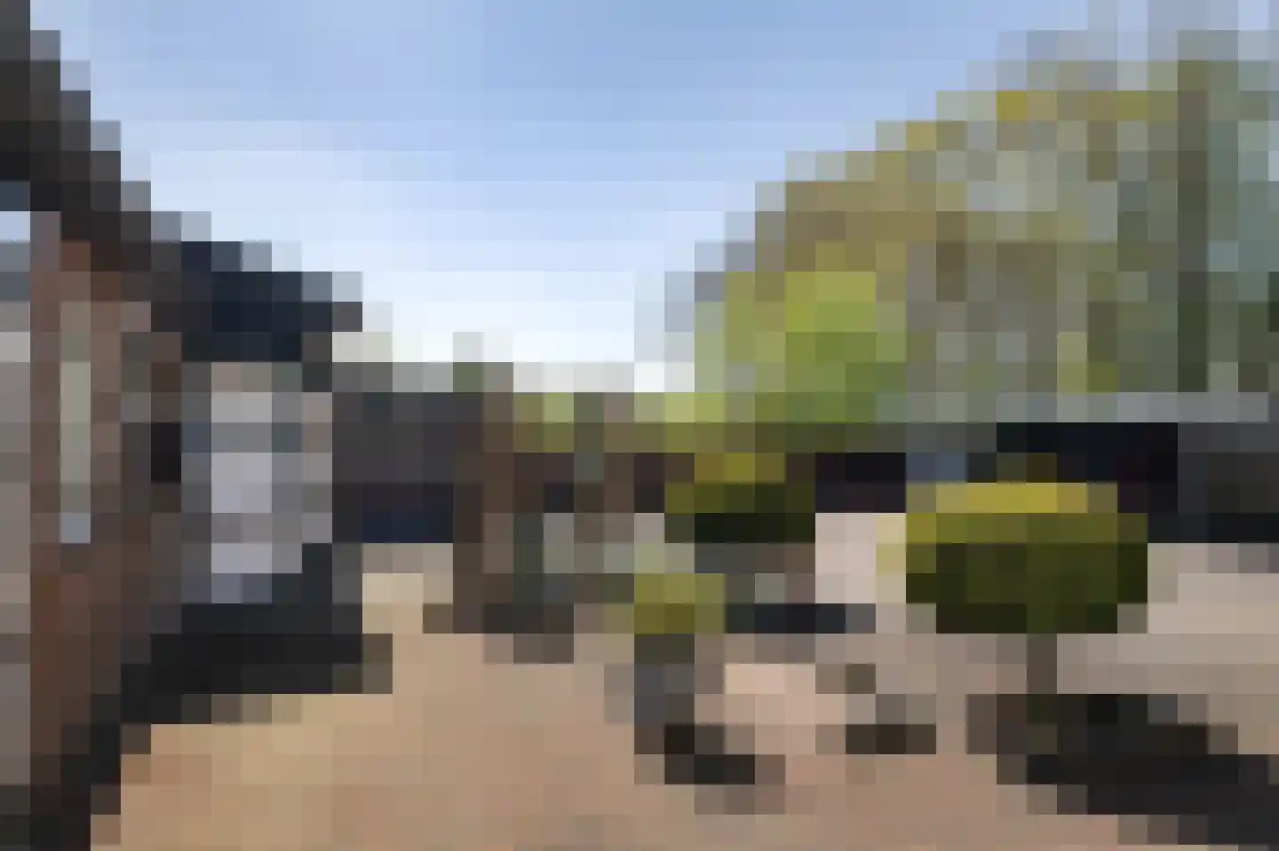 Zuukerend 5 Epe thumbnail 32