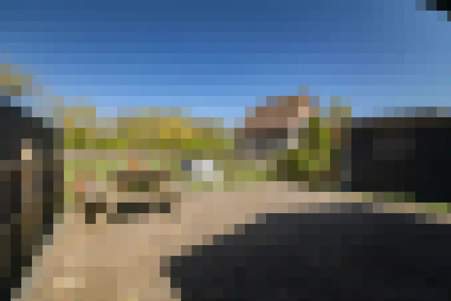 Zuukerend 5 Epe thumbnail 35