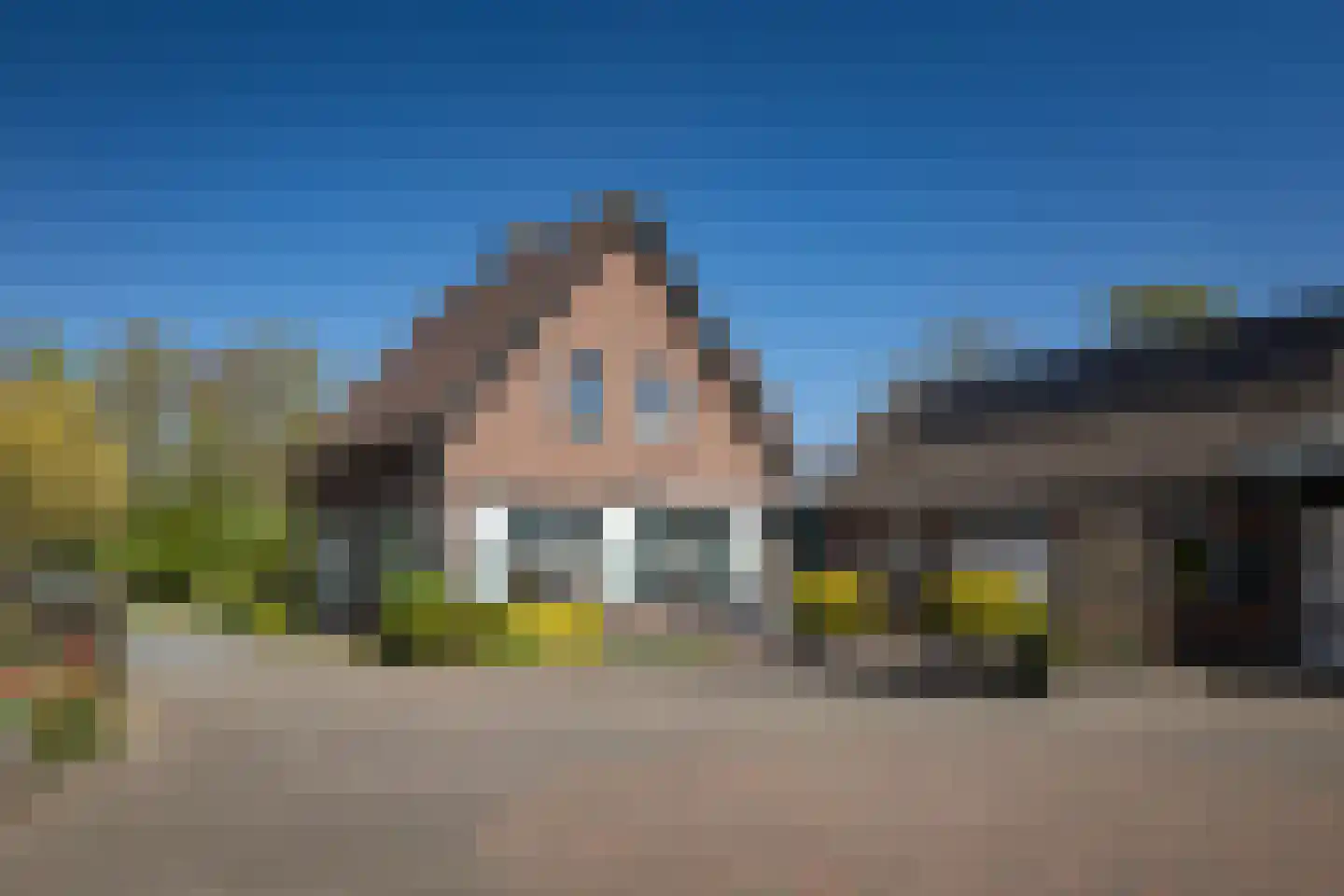 Zuukerend 5 Epe thumbnail 36
