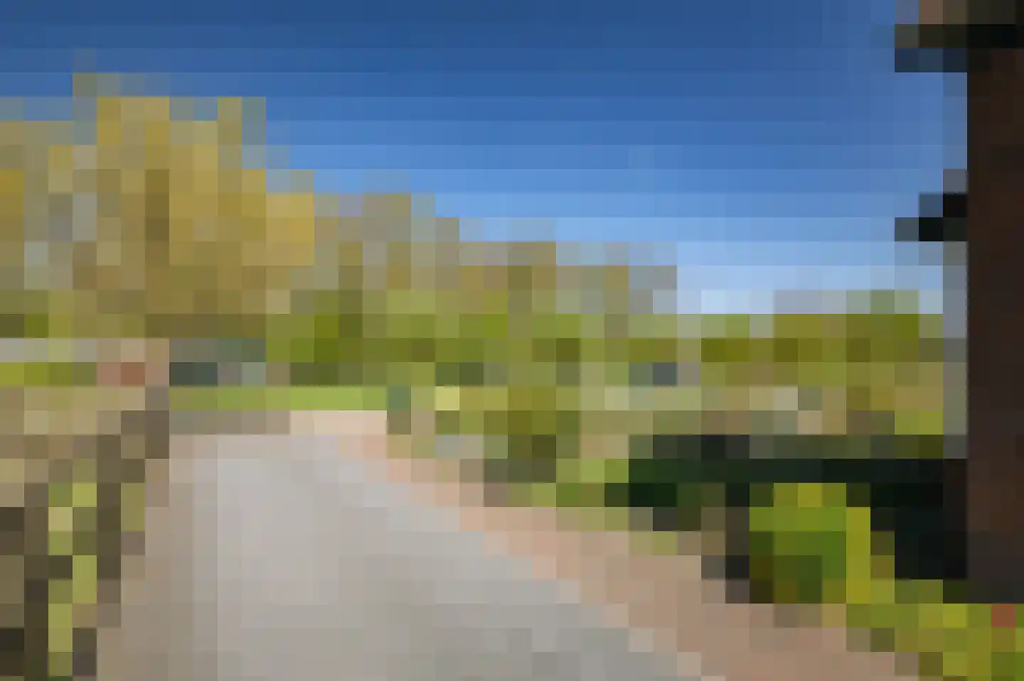 Zuukerend 5 Epe thumbnail 38