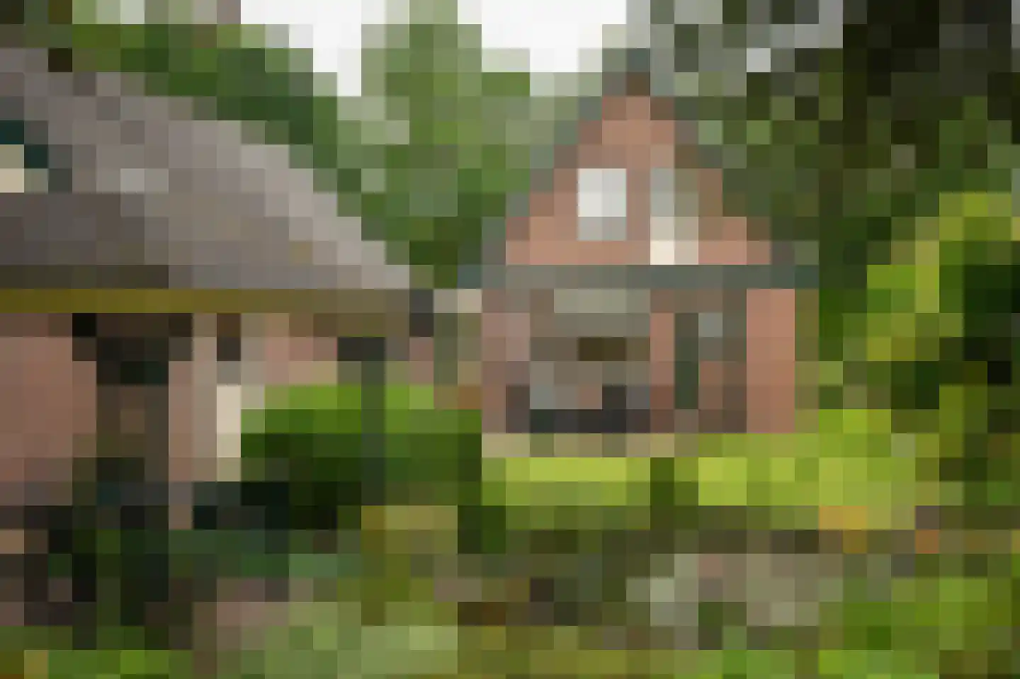 Zuukerweg 59 Epe thumbnail 32