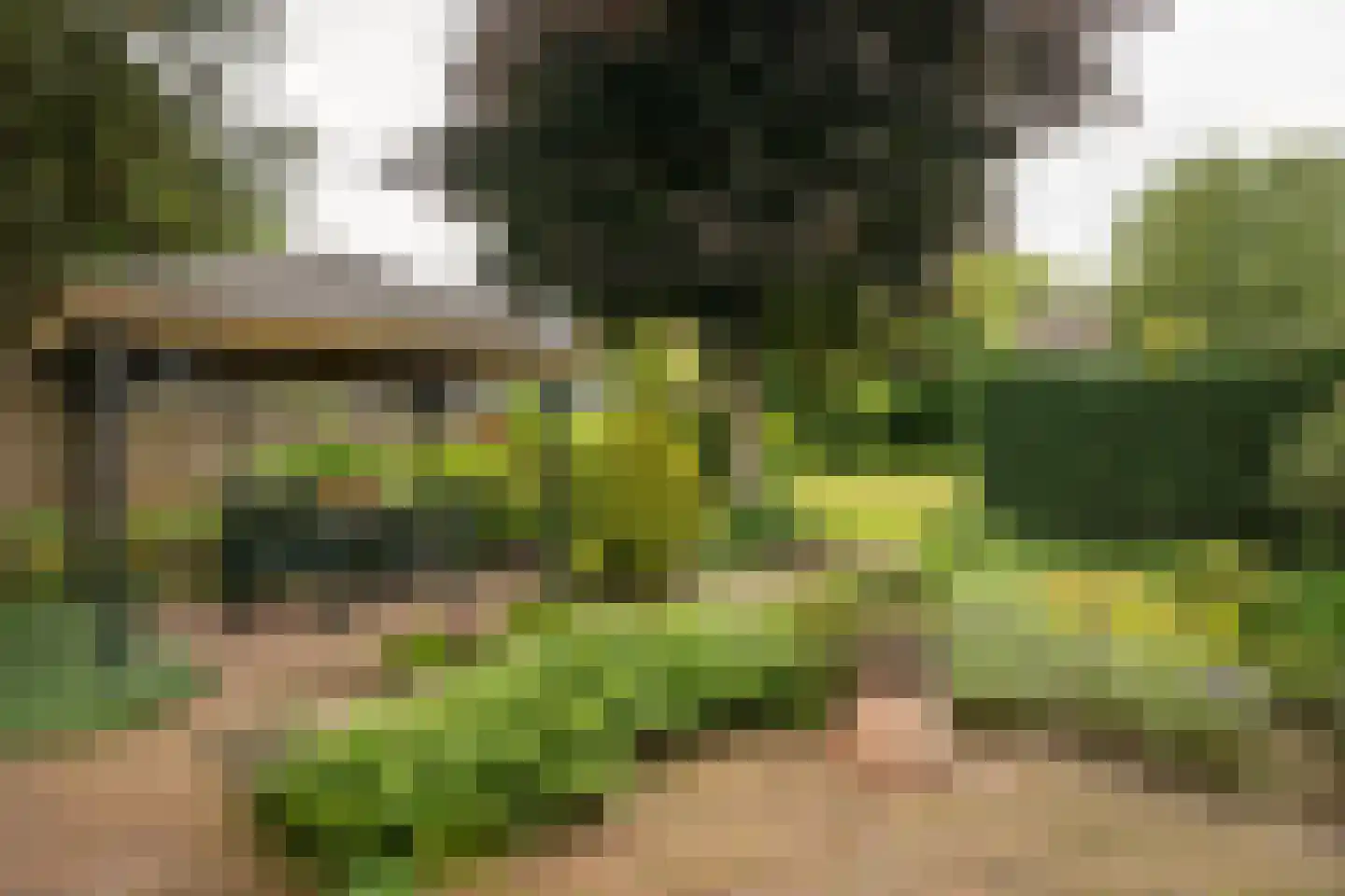 Zuukerweg 59 Epe thumbnail 33