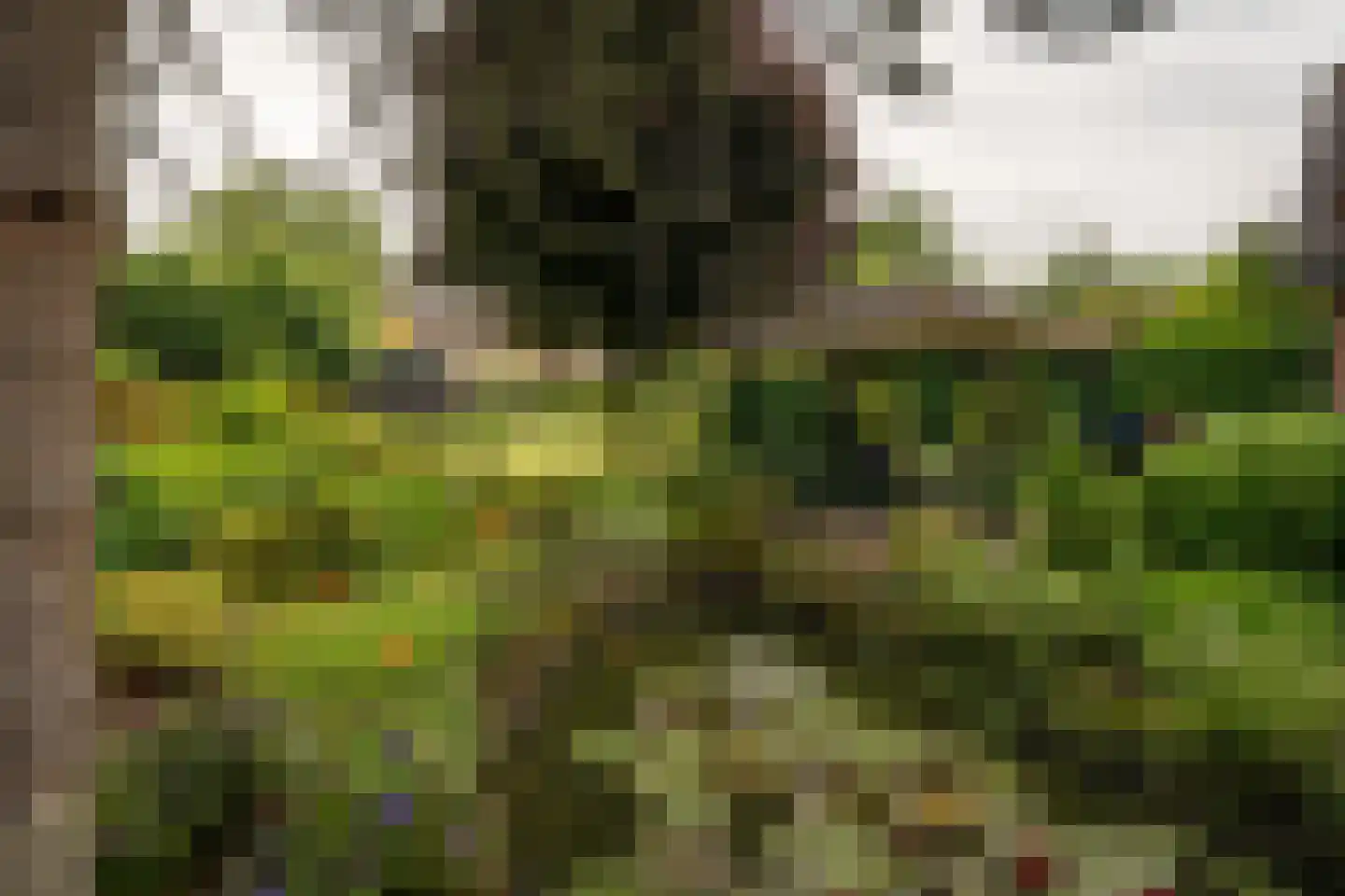 Zuukerweg 59 Epe thumbnail 35