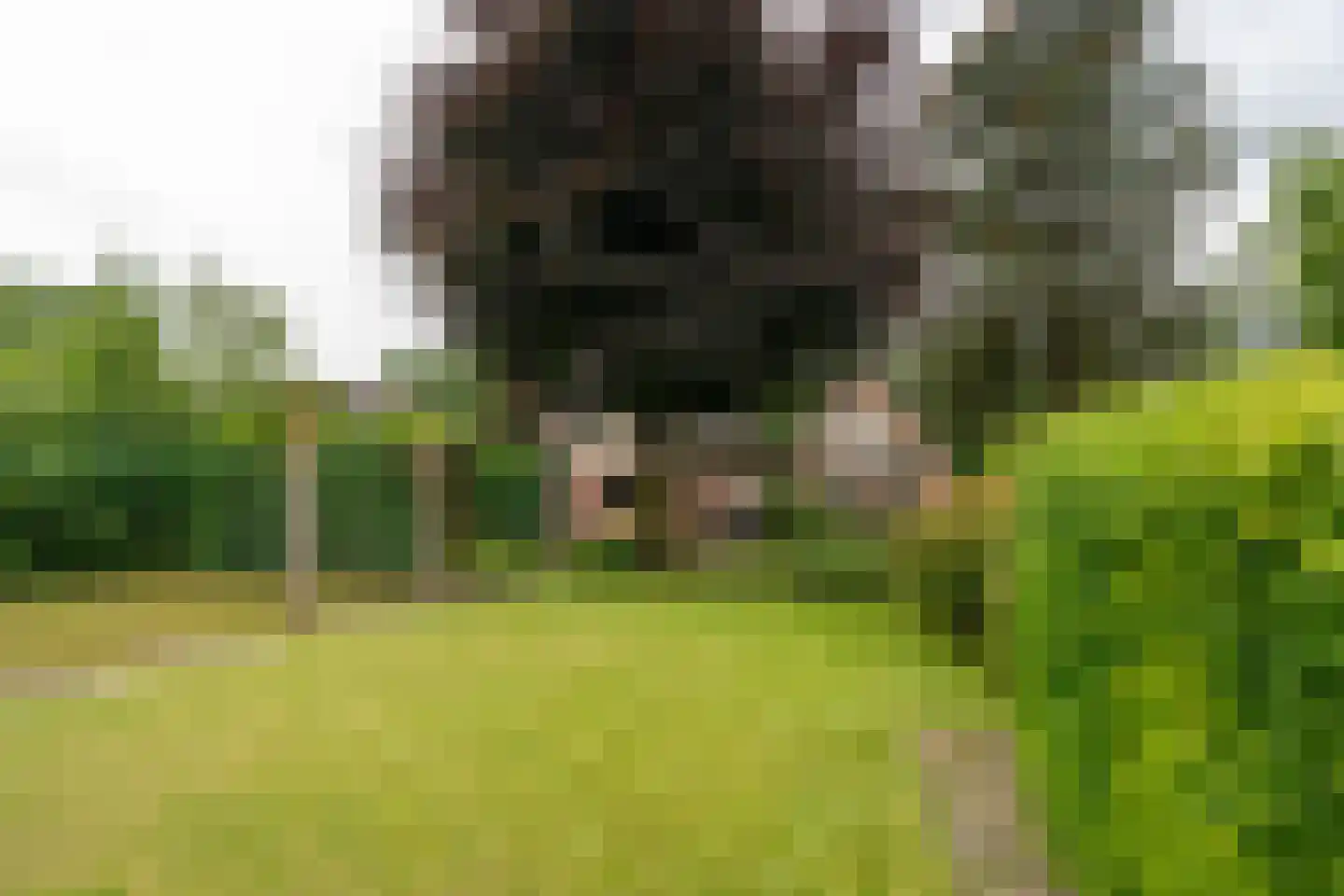 Zuukerweg 59 Epe thumbnail 36