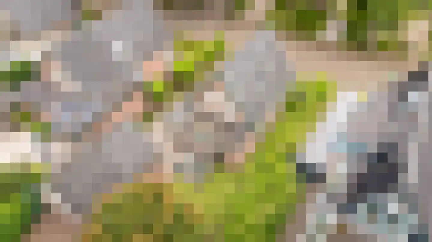 Zuukerweg 59 Epe thumbnail 37