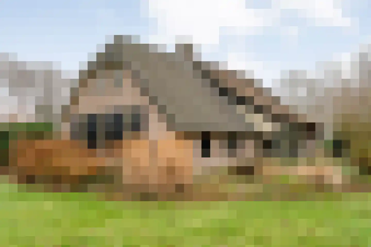 Zuurbeek 20 Sint Jansklooster thumbnail 7