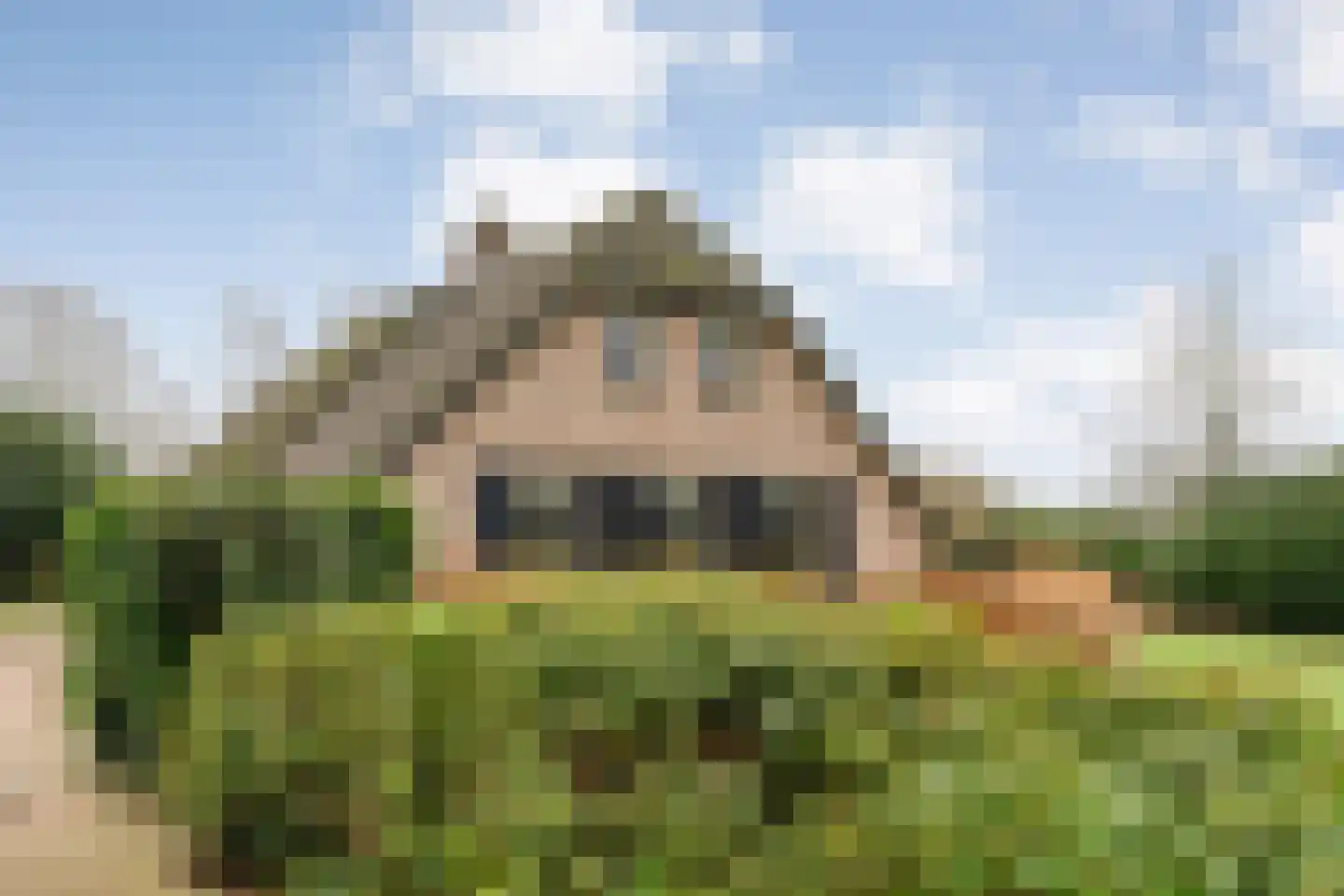Zuurbeek 20 Sint Jansklooster thumbnail 8