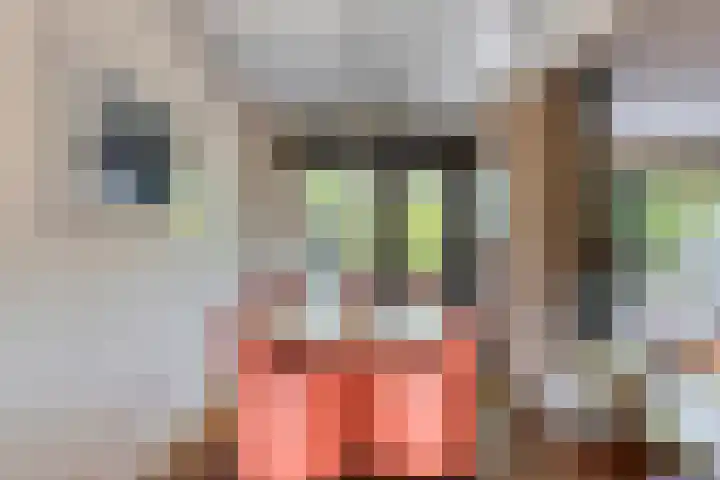Zuurbes 21 Rotterdam thumbnail 10