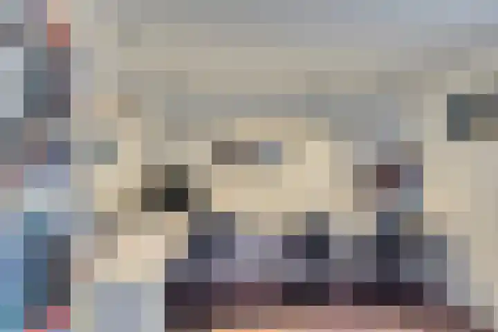 Zuurbes 21 Rotterdam thumbnail 16