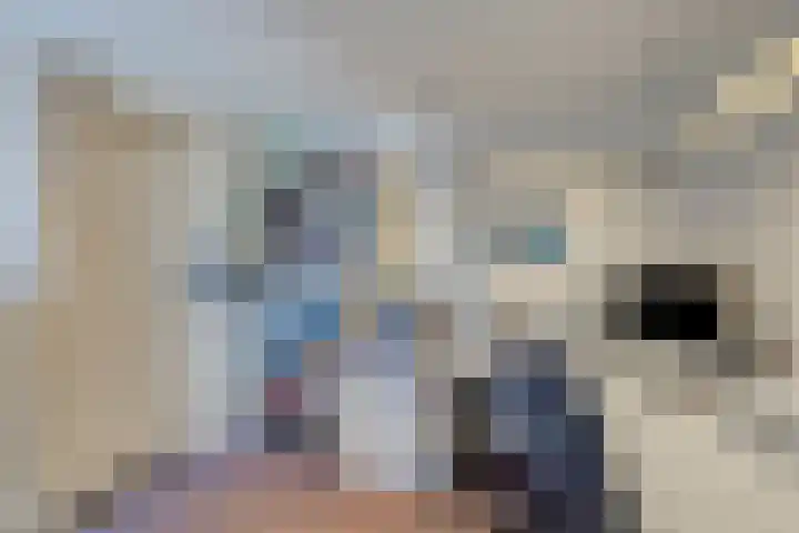 Zuurbes 21 Rotterdam thumbnail 17