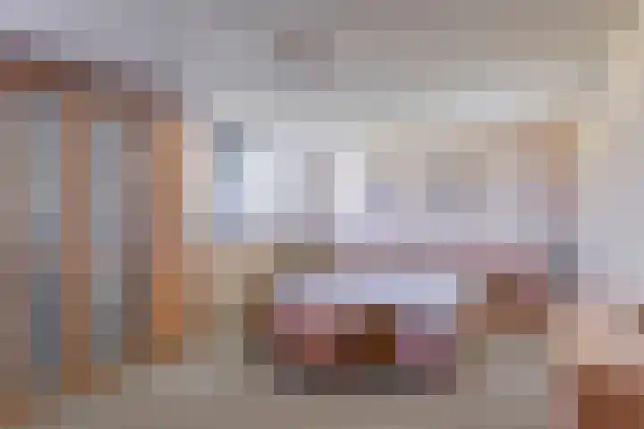 Zuurbes 21 Rotterdam thumbnail 18