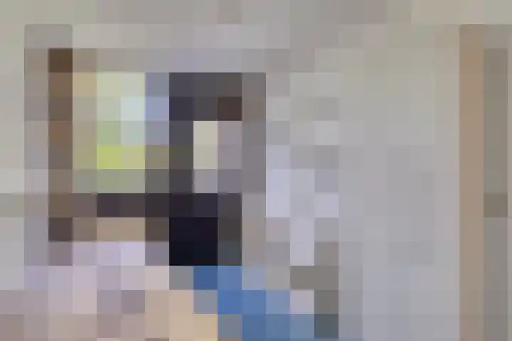 Zuurbes 21 Rotterdam thumbnail 23