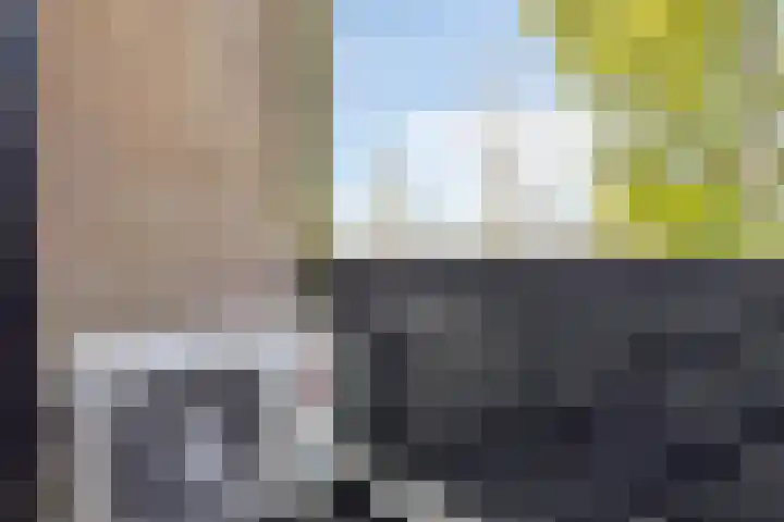 Zuurbes 21 Rotterdam thumbnail 24