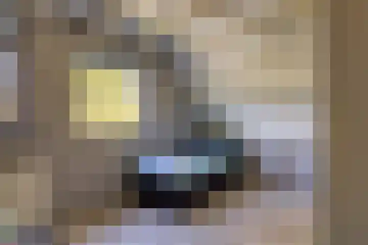 Zuurbes 21 Rotterdam thumbnail 27