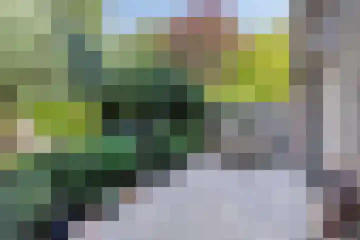 Zuurbes 21 Rotterdam thumbnail 29