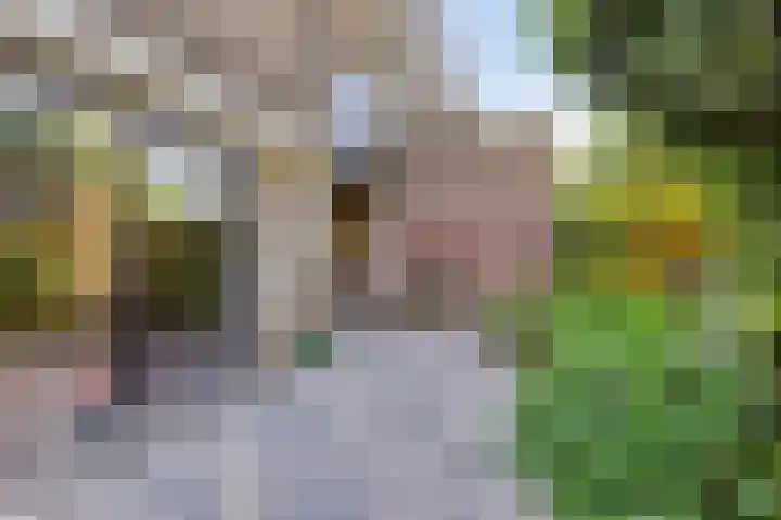 Zuurbes 21 Rotterdam thumbnail 30