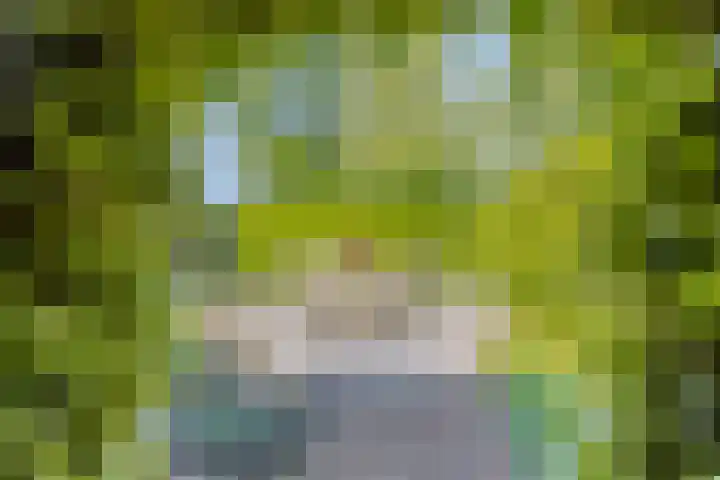 Zuurbes 21 Rotterdam thumbnail 32