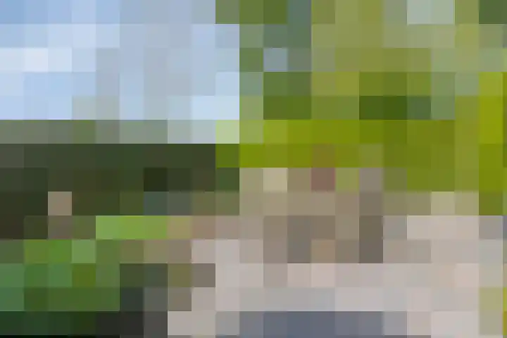 Zuurbes 21 Rotterdam thumbnail 33