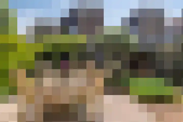 Zuurbes 21 Rotterdam thumbnail 34