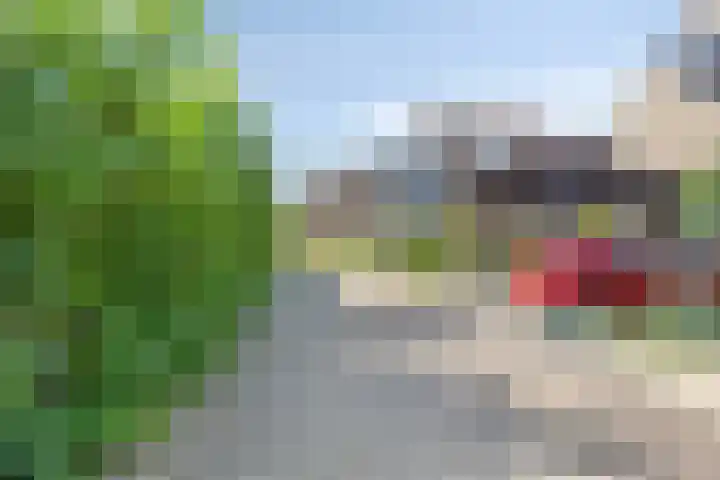 Zuurbes 21 Rotterdam thumbnail 36