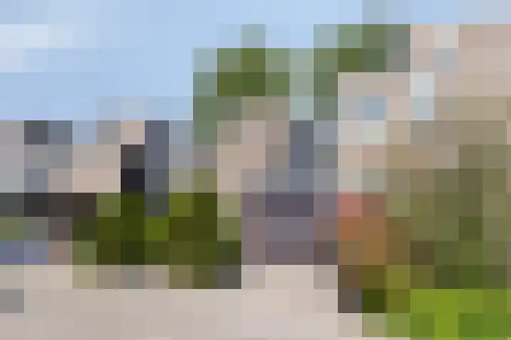 Zuurbes 21 Rotterdam thumbnail 4