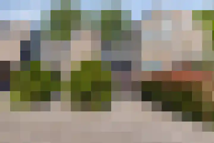 Zuurbes 21 Rotterdam thumbnail 5