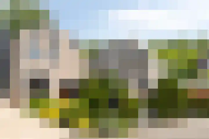 Zuurbes 21 Rotterdam thumbnail 6