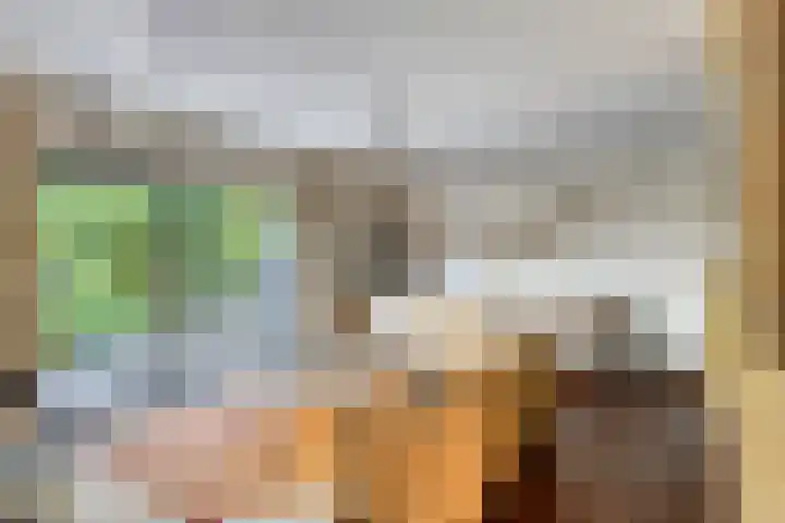 Zuurbes 21 Rotterdam thumbnail 8