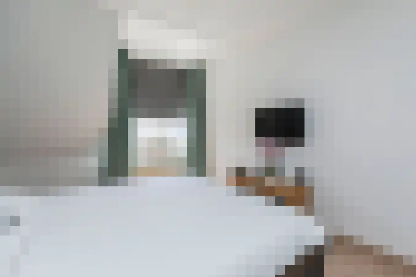 Zuurbeshof 22 Papendrecht thumbnail 17