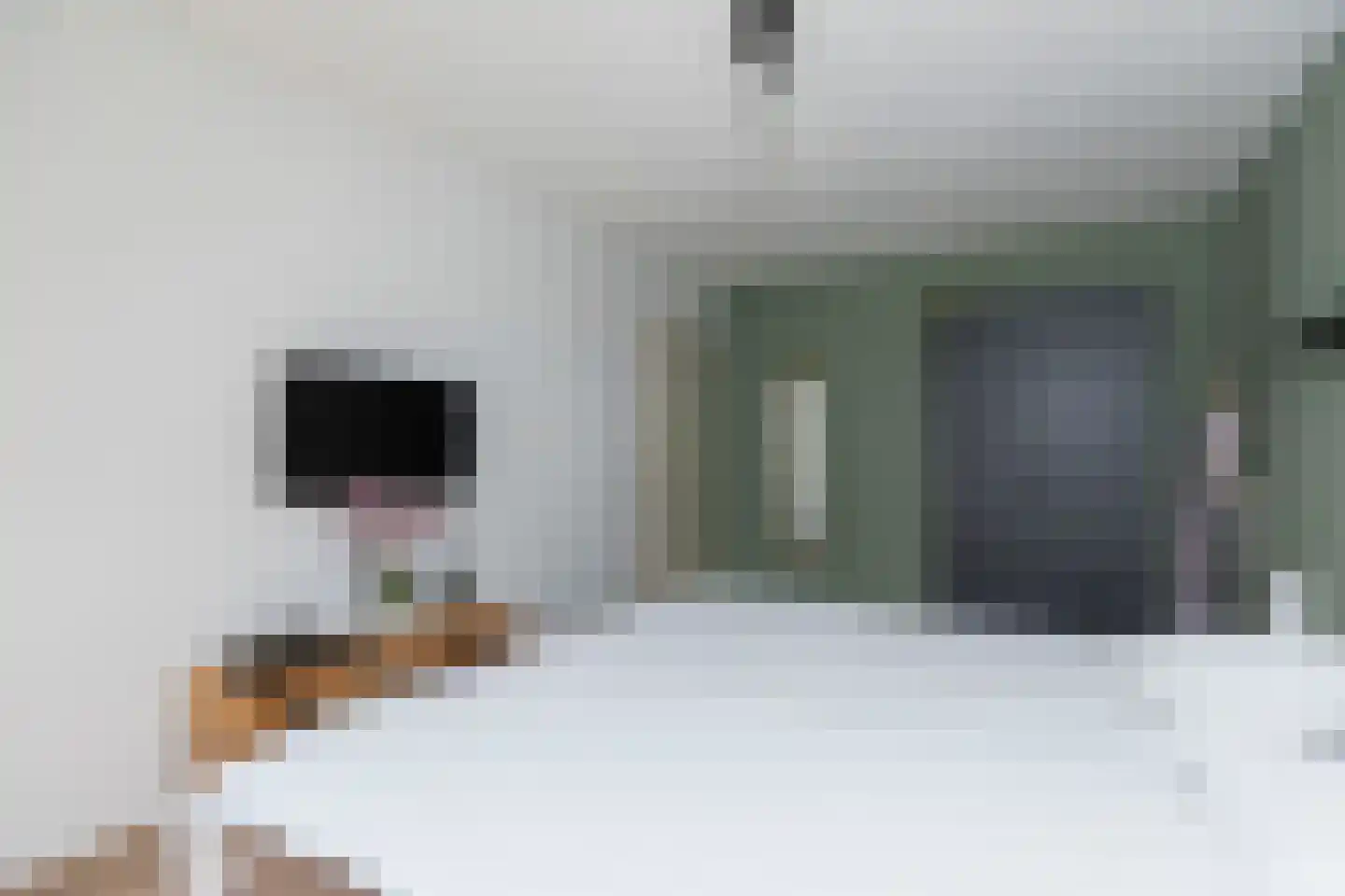 Zuurbeshof 22 Papendrecht thumbnail 18