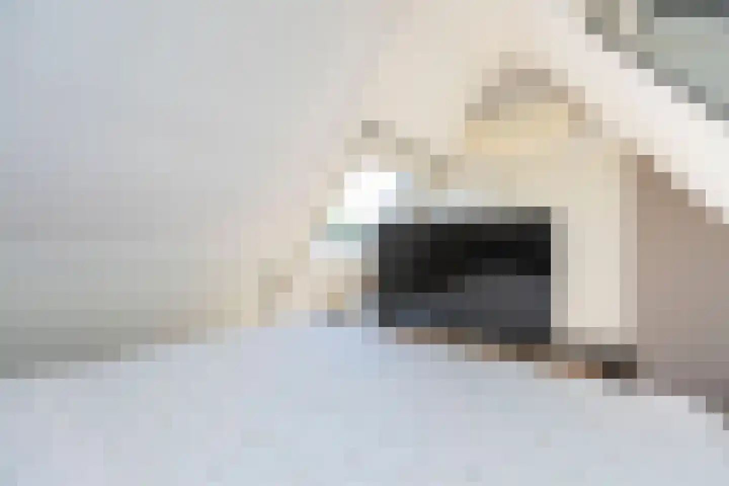 Zuurbeshof 22 Papendrecht thumbnail 29