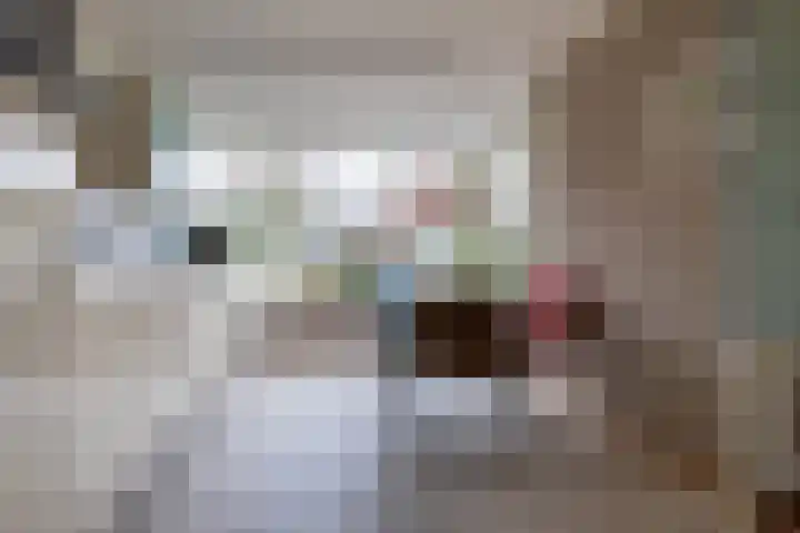 Zuurbeshof 8 Heemskerk thumbnail 11